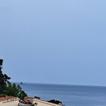 The Four Fish Apartment Petrovac Ngoại thất bức ảnh